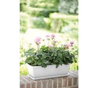 elho Barcelona Trough 40cm - Garden Balcony Planter Flowerpot/ Plant Pot - White