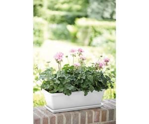 elho Barcelona Trough 40cm - Garden Balcony Planter Flowerpot/ Plant Pot - White