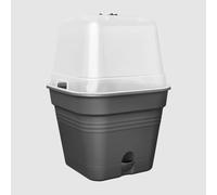 elho Green Basics Growing Pots 30 cm - Square - Living Black
