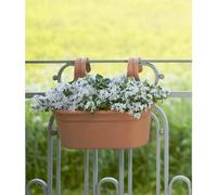 Elho Green Basics Large Easy Hanger Flower Plant Balcony Planter- Mild Terra