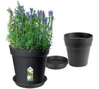 elho Green Basics Grow Pots set - With Saucers - 100% Recycled Plastic - Set of 5 - Ø 17 x H 15.8 cm - Black/Living Black