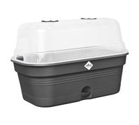elho Green Basics Grow Tray Allin1 39 - Seed Propagator with Lid - 100% Recycled Plastic - Ø 39.0 x H 15.2 cm - Black/Living Black