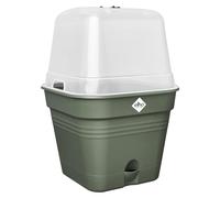 elho Green Basics Growpot Square Allin1 15 - Flower Pot for Grow your own - Ø 15.0 x H 12.1 cm - Green/Leaf Green