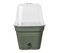 elho Green Basics Growpot Square Allin1 20 - Flower Pot for Grow your own - Ø 19.5 x H 16.5 cm - Green/Leaf Green