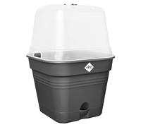 Elho Green Basics Growpot Square Allin1 35cm - Living Black