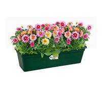 Elho Green Basics Trough 60cm - Leaf Green