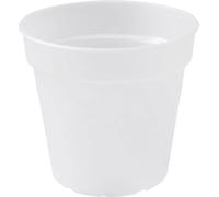 elho green basics Orchid | Transparent - 13 cm