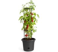 Green Basics Tomato Pot 33CM Living Black Planter