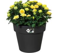 Elho 7613303943300 40 cm Green Basics Top Planter Flower Pot - Active Black