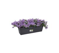 Elho Green Basics Trough 60cm - Living Black