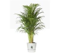 elho Greenville White Round Plant Flower Pot Recyclable & Water Reservoir - 40cm