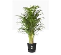 Elho Greenville 100% Recyclable Round Plant Pots & Saucers 4 Colours 5 Sizes