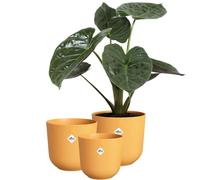 elho Jazz Round 14,16,19 Flower Pots Set - Amber Yellow
