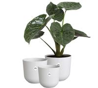 elho Jazz Round 14,16,19 Flower Pots Set - Silky White
