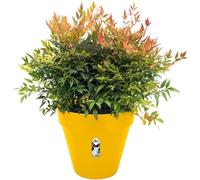 Elho Loft Urban Round Flower Pot, Ochre, 40 cm