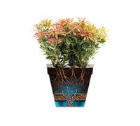 Elho loft urban round wheels 40 flowerpot - white