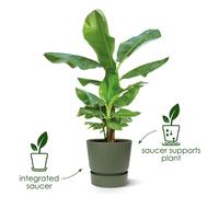 Elho Round Planter Pot with Water Reservoir 25cm Vintage Plum Plastic Flower Pot Frost Resistant for Indoor Outdoor Use
