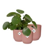 elho Vibes Fold Round 14,16,18 Flower Pots Set - Delicate Pink