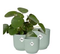 elho Vibes Fold Round 14,16,18 Flower Pots Set - Sorbet Green