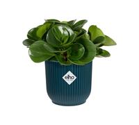 Elho Vibes Round Deep Blue Plant Pot Choice Of Sizes 14/16/18 cm