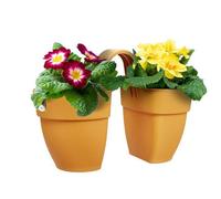 Elho Vibia Campana Flower Twin 21cm - Honey Yellow
