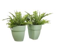 ELHO VIBIA CAMPANA FLOWER TWIN 21CM - PISTACHIO GREEN