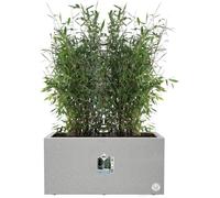 Elho Vivo Flower Pot Trough, Square or Rectangular, 3 Colours, 100% Eco-Friendly