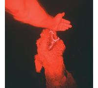 Eli Winter - A Trick Of The Light ('Optical Illusion' Transparent Red Vinyl) [VINYL]