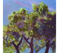 Eli Winter - The Time to Come [VINYL]