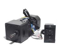 ELILANEY 250W Variable Speed Motor 220V AC Single Phase Reversible Speed Reducer Gear Motor 1:3 to 1:250 Ratio US-52 Governor torque reduction(45rpm)