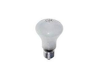 Elinchrom 100w E27 Modeling Lamp