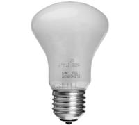 Elinchrom Modelling Lamp, 100 W 196 V for D-lite Flash Head,Black