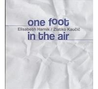 Elisabeth Harnik & Zlatko Kaucic - Elisabeth Harnik, Zlatko Kaucic - One Foot In The Air