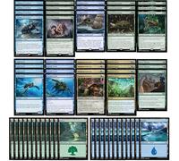 Elite Simic Turtle Deck - Green Blue - Very Powerful - Modern Legal - Custom Built - 60 Card MTG