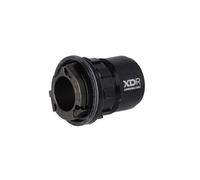 Elite SRAM XD/XDR Direct-Drive Roller Wheel Hub