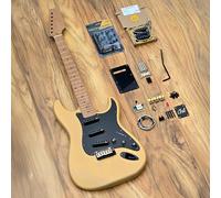 Elite T-Series DIY Guitar Kit | Deluxe Complete Build Package | Guitar Anatomy (The Revival)