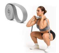 EliteFTS Pro Resistance Band - Boost Core Stability and Flexibility with This Portable, Joint-Friendly Tool - 41" Long (PRO Average Resistance Band, Silver) (Single)