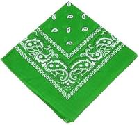 EliteKoopers 1 Pcs Cotton Paisley HeadBand Band Wear Tie Wrap Wrist Band Scarf Neck (Green)