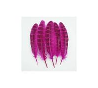 EliteKoopers 10Pcs Hot Pink Pheasant Tail Feathers Small, 10-15cm, Craft Decorations, Dyed Hat Art