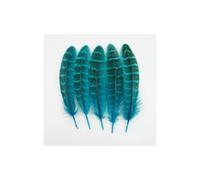 EliteKoopers 5Pcs Turquoise Pheasant Tail Feathers Small, 10-15cm, Craft Decorations, Dyed Hat Art