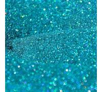EliteKoopers Turquoise 3.5oz/100g Ultra Fine Glitter Sparkle Shine Powder dust for Nail Art and Crafts Decor