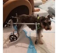 Elitix 4 Wheel Dog Mobility Aids Stroller for Small Medium Large Dogs, Full Support Dog Wheelchair Four Wheels, Dog Knee Brace for Torn Acl Hind Leg(L)