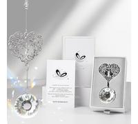 Elivida Retirement Gift for Woman Men, Best Gifts for Retirement 2025, You Shine The Work Rainbow Maker Cool Farewell Gifts, Going Away Gift Crystal Hanging Ornament, Heart Shaped Tree Life Design