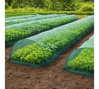 Elixir Garden Supplies Elixir Gardens Growing Success Plum Maggot Traps, Pest Control (Quantity X1)