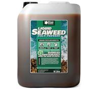 Elixir Gardens 10L Cold-Pressed Organic Liquid Seaweed Plant Fertiliser | Ascophyllum Nodosum | Chemical & Addtive-Free Plant Feed, Sourced Sustainably from the Irish Atalantic
