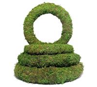 Elixir Gardens Moss Effect Padded Wreath Rings | Festive, Christmas Decorative Padded Circular Frames for Doors, Walls & Tables Centrepieces | 10 Inch (25cm) x 20