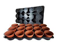 Elixir Gardens Plastic Plant Pot + Carry Trays | Round Pots 10.5cm Diameter x 8cm | Various Quantities To Choose From | 30 Pots + 2 Carry Trays