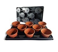 Elixir Gardens Plastic Plant Pot + Carry Trays | Round Pots 12cm Diameter x 9cm | Various Quantities To Choose From | 8 Pots + 1 Carry Tray