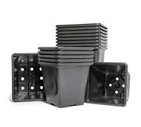 Elixir Gardens Square Black Plant Pots | Lightweight, Recycled Plastic Seed Starting/Nursery & Seedling Pots for Flowers, Herbs, Fruiit & Vegetables | 9cm x 100