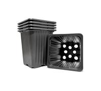 Elixir Gardens Square Plant Pot | 0.25 Litre Black Recycled Plastic Nursery/Seedling or Cutting Pots (7cm x 7cm x 5cm) x 100